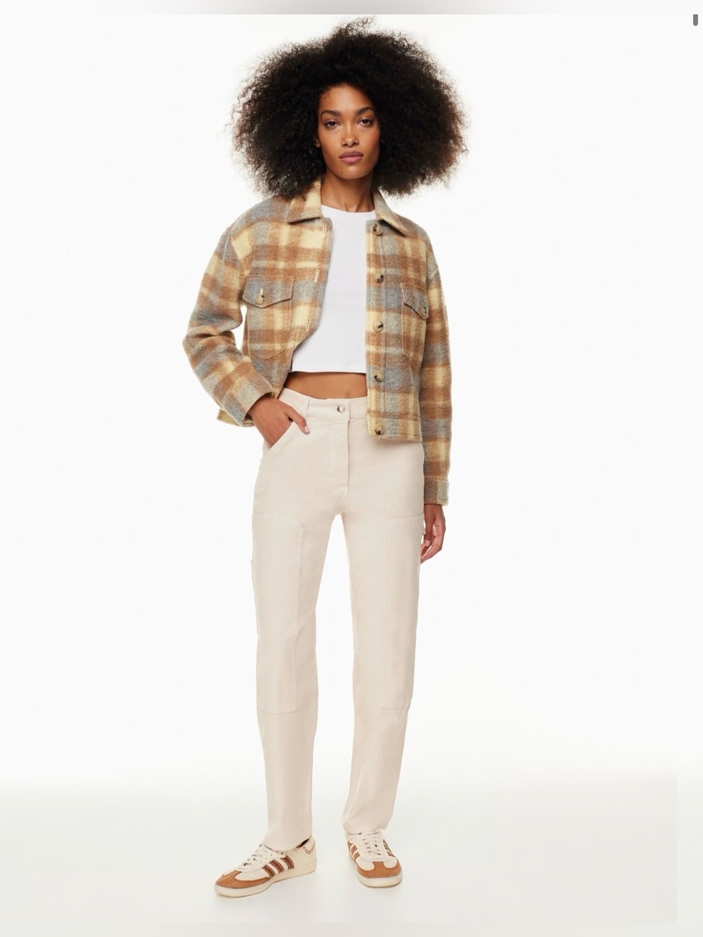 Aritzia Wilfred free utility pant